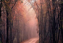 曼城对阵弗鲁米嫩，这场世俱杯决赛会有哪些看点？